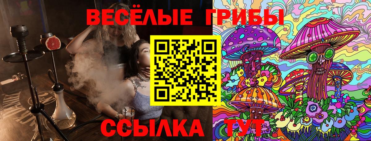 Орск  Псилоцибиновые грибы MAGIC MUSHROOMS  Вход с VPN  Галлюциногенные грибы GOLDEN TEACHER 